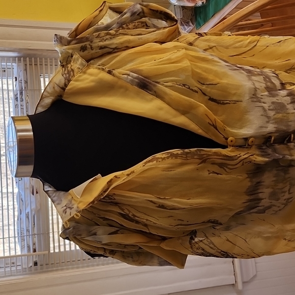 Luluria size Large Beautiful polyester see through,lining inside short sleeve - Picture 9 of 11